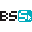 bss.biz-logo